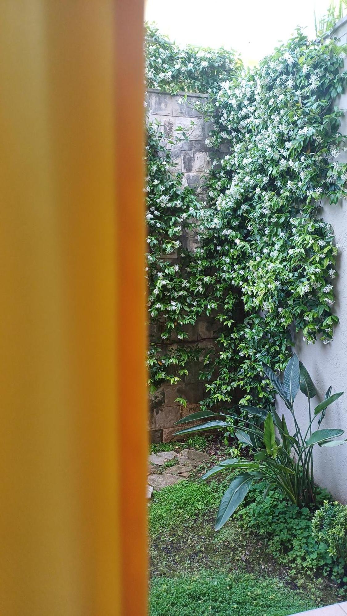 Apartman Stijepcic Herceg Novi Exterior foto