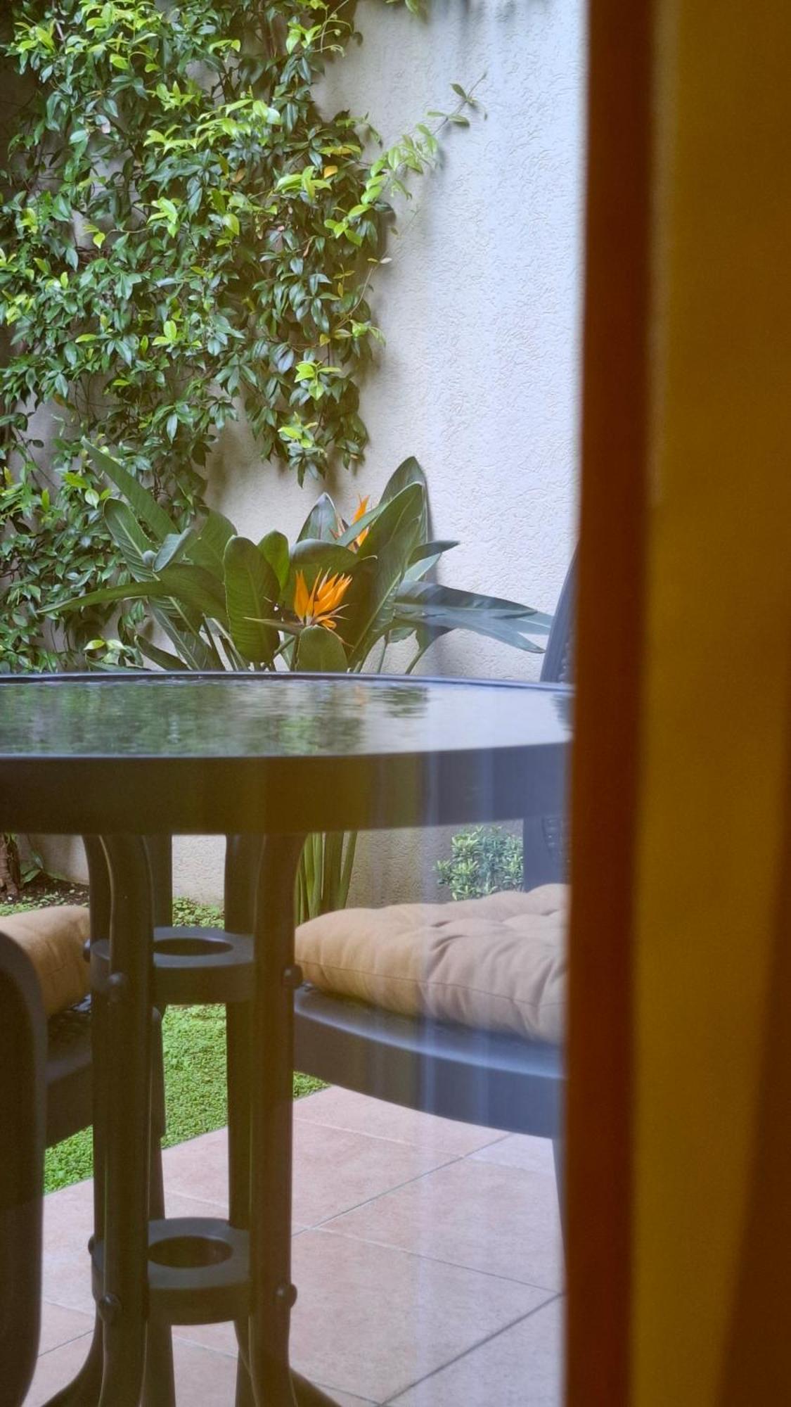 Apartman Stijepcic Herceg Novi Exterior foto