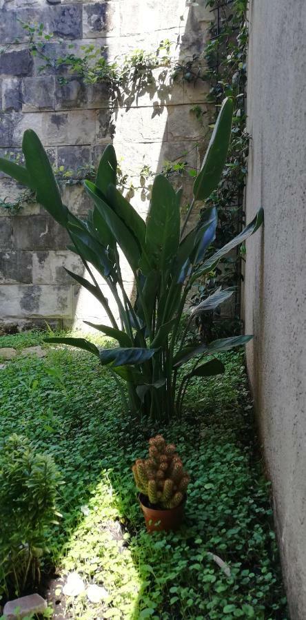 Apartman Stijepcic Herceg Novi Exterior foto